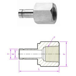 female-adapter-manufacturers-suppliers-exporters-stockists