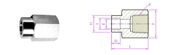 female-connector-weld-fitings-manufacturers-suppliers-exporters-stockists